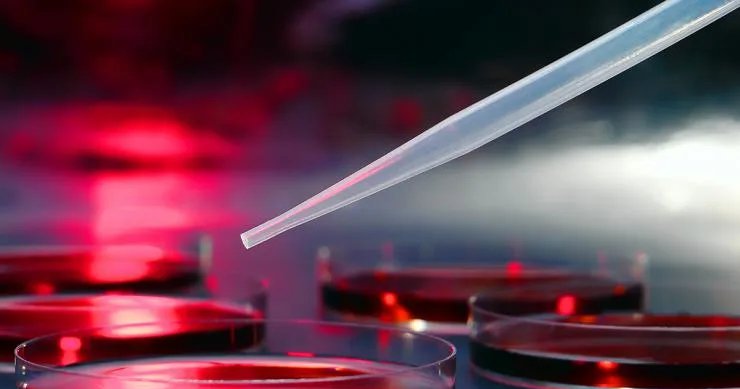 Concurso CRQ 9 PR 2026 terá edital em breve com vagas para vários níveis no Paraná