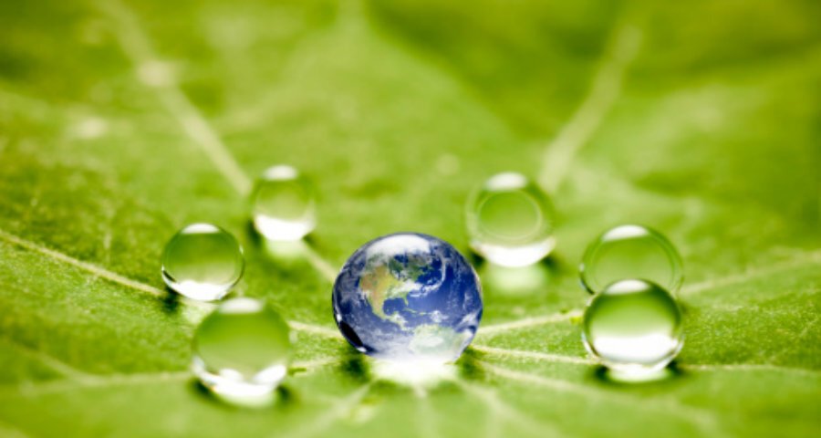 Instituto oferece 14 bolsas para mestrado profissional em conservação ambiental